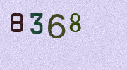 Visual Confirmation Security Code