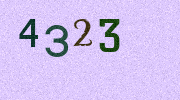 Visual Confirmation Security Code