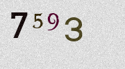 Visual Confirmation Security Code