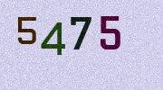 Visual Confirmation Security Code