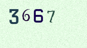 Visual Confirmation Security Code