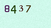 Visual Confirmation Security Code