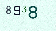 Visual Confirmation Security Code