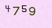 Visual Confirmation Security Code