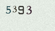 Visual Confirmation Security Code