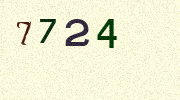 Visual Confirmation Security Code