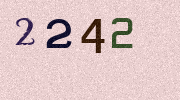 Visual Confirmation Security Code