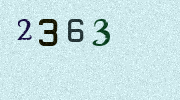 Visual Confirmation Security Code