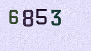 Visual Confirmation Security Code