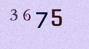 Visual Confirmation Security Code