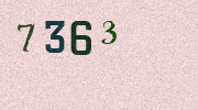 Visual Confirmation Security Code