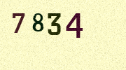 Visual Confirmation Security Code