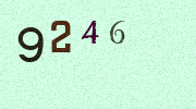 Visual Confirmation Security Code