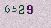Visual Confirmation Security Code