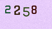 Visual Confirmation Security Code