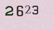 Visual Confirmation Security Code