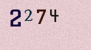 Visual Confirmation Security Code