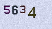 Visual Confirmation Security Code