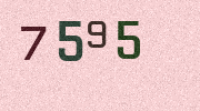 Visual Confirmation Security Code