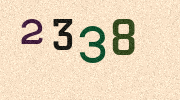 Visual Confirmation Security Code