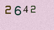 Visual Confirmation Security Code