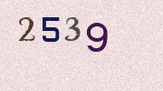 Visual Confirmation Security Code