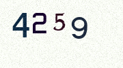 Visual Confirmation Security Code