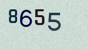Visual Confirmation Security Code