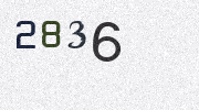 Visual Confirmation Security Code