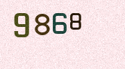 Visual Confirmation Security Code
