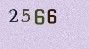 Visual Confirmation Security Code