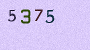 Visual Confirmation Security Code