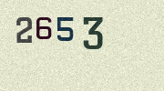 Visual Confirmation Security Code