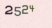 Visual Confirmation Security Code