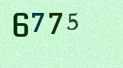 Visual Confirmation Security Code