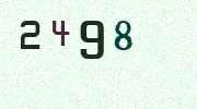 Visual Confirmation Security Code