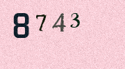 Visual Confirmation Security Code