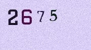 Visual Confirmation Security Code