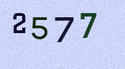 Visual Confirmation Security Code