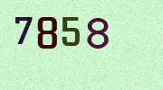 Visual Confirmation Security Code