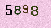 Visual Confirmation Security Code