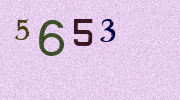 Visual Confirmation Security Code