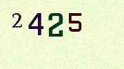 Visual Confirmation Security Code