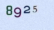 Visual Confirmation Security Code