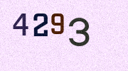 Visual Confirmation Security Code