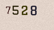 Visual Confirmation Security Code