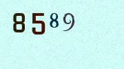 Visual Confirmation Security Code