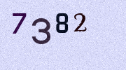 Visual Confirmation Security Code