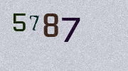 Visual Confirmation Security Code