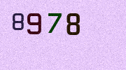 Visual Confirmation Security Code